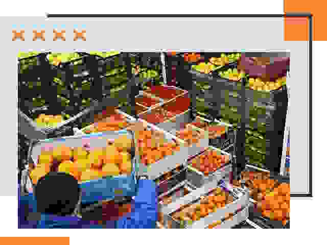 Перевозка скоропортящихся продуктов в Норильске